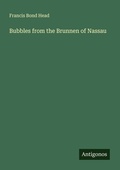 Cover: Bubbles from the Brunnen of Nassau - Antigonos Verlag