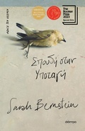 Cover: Sp&iquest;&iquest;d&iquest; st&iquest;&iquest; &iquest;p&iquest;ta&iquest;&iquest; - Dioptra Publishing