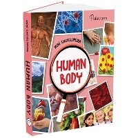 Enlarge image Cover: Human Body - Parragon Publishing