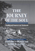 Cover: The Journey of the Soul - Jason Aronson, Inc.