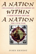 Cover: A Nation Within a Nation - Ivan R. Dee