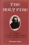 Cover: The Holy Fire - Jason Aronson, Inc.