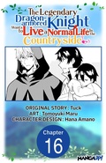 Cover: The Legendary Dragon-armored Knight Wants to Live a Normal Life In the Countryside #016 - Square Enix