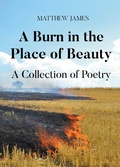 Cover: A Burn in the Place of Beauty: A Collection of Poetry - Newman Springs Publishing, Inc.
