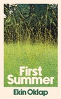 Cover: First Summer - Simon + Schuster LLC