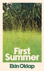 Cover: First Summer - Simon & Schuster Ltd