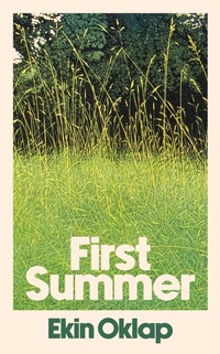 Enlarge image Cover: First Summer - Simon & Schuster Ltd