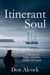 Abbildung von: Itinerant Soul - Turtle Publishing