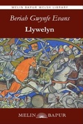 Cover: Llywelyn (eBook) - Melin Bapur