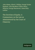 Cover: The Doctrine of Equity. A Commentary on the Law as Administered by the Court of Chancery - Antigonos Verlag