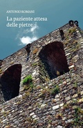Cover: La paziente attesa delle pietre - Maria Pacini Fazzi Editore