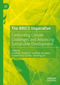 Abbildung von: The BRICS Imperative - Palgrave Macmillan
