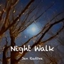Cover: Night Walk - BoD - Books on Demand