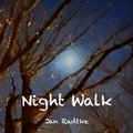 Cover: Night Walk - BoD - Books on Demand