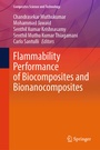 Cover: Flammability Performance of Biocomposites and Bionanocomposites - Springer