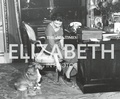 Bild: The Times Elizabeth in Photos - Times Books