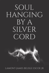 Abbildung von: SOUL HANGING BY A SILVER CORD - Trafford Publishing