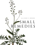 Cover: Small Remedies - the engine(idling