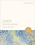 Cover: John: A Devotional Commentary - Tyndale Momentum