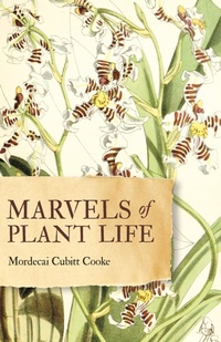 Abbildung von: Marvels of Plant Life - Read Books Ltd.