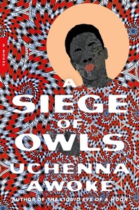 Enlarge image Cover: A Siege of Owls - Catapult