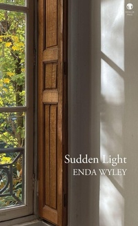 Enlarge image Cover: Sudden Light - Dedalus Press