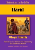 Cover: David - Reading Stones Publishing
