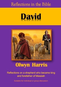 Enlarge image Cover: David - Reading Stones Publishing