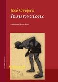 Cover: Insurrezione - Voland