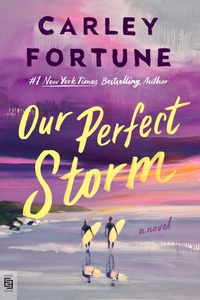 Enlarge image Cover: Our Perfect Storm - Berkley