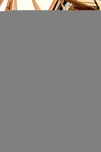 Abbildung von: Tinsel and Rust - OUP eBook