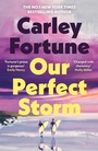 Cover: Our Perfect Storm - Michael Joseph Ltd
