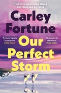 Cover: Our Perfect Storm - Michael Joseph Ltd