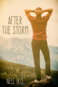 Cover: After the Storm - JMS Books LLC