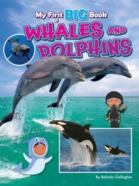 Enlarge image Cover: My First BIG Book of WHALES and DOLPHINS - Ruby Tuesday Books Ltd