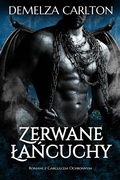 Cover: Zerwane Lancuchy: Romans z Gargulcem Ochronnym - Lost Plot Press
