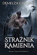 Cover: Straznik Kamienia - Lost Plot Press