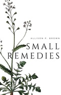Cover: Small Remedies - Engine(idling