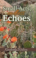 Cover: Small Acts. Endless Echoes - Trilogy Christian Publishing