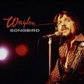 Cover: Songbird - Membran Media GmbH / Hamburg