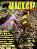 Cover: Black Cat Weekly #206 - Wildside Press LLC