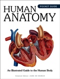 Cover: Human Anatomy - Amber Books