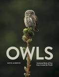 Cover: Owls - Amber Books