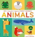 Cover: Lift, Touch Learn First Words: Animals - Little Tiger