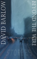 Cover: Beyond The Wire - David Barlow