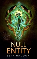 Cover: Null Entity - St Martin's Press