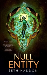 Enlarge image Cover: Null Entity - St Martin's Press