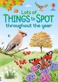 Cover: Lots of Things to Spot throughout the year - Usborne Publishing Ltd