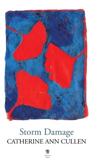 Enlarge image Cover: Storm Damage - Dedalus Press