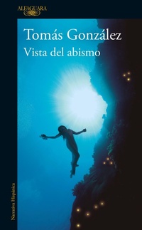 Abbildung von: Vista del abismo / A View of the Abyss - Alfaguara
